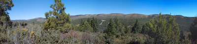 Panoramic Image